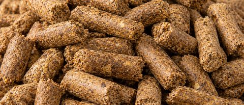 Mustard husk pellets close-up