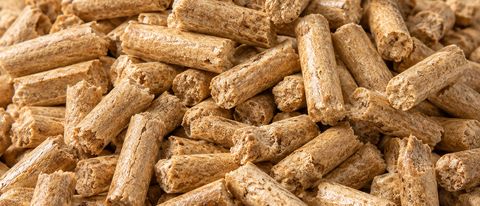 Pinewood pellets close-up
