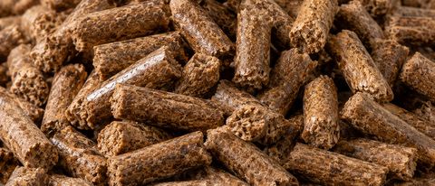 Sawdust / wood pellets close-up